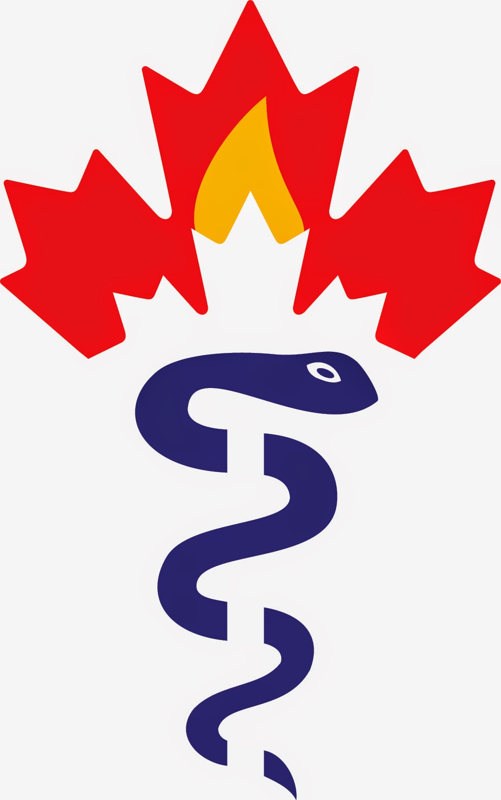 Canadian Academy of Sport and Exercise Medicine | House of Sport, RA Centre, 2451 Riverside Dr., Ottawa, ON K1H 7X7, Canada | Phone: (613) 748-5851