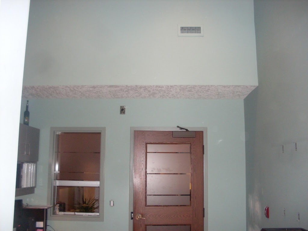 Top Pro Painters | 117 Stevenson St N, Guelph, ON N1E 5A6, Canada | Phone: (519) 731-4037