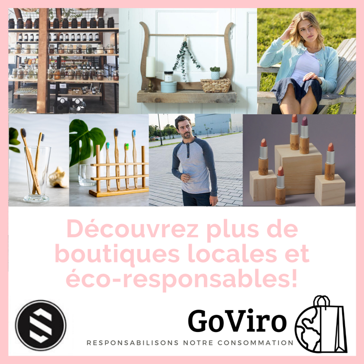 GoViro | 150 Avenue Jacques-Martin, La Prairie, QC J5R 6V1, Canada | Phone: (450) 907-1119