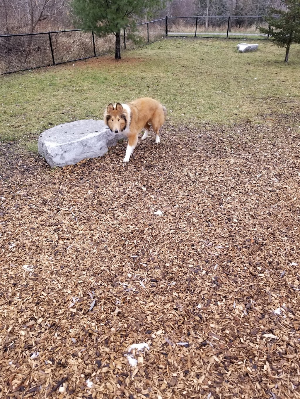 Duggan Park Off-Leash Area | 100 Ken Whillans Dr, Brampton, ON L6V 0A4, Canada