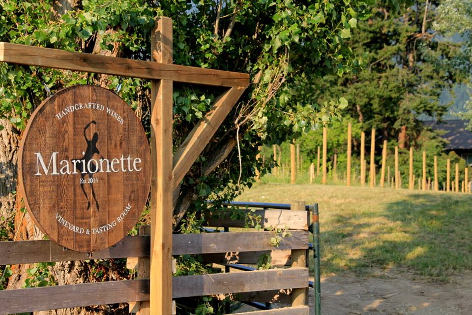 Marionette Winery | 2540 40th St NE, Salmon Arm, BC V1E 1Z3, Canada | Phone: (250) 832-7702