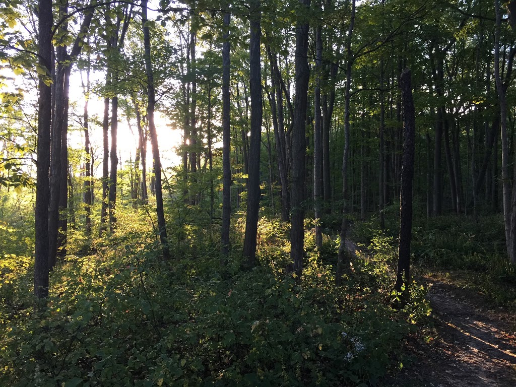 Bruce trail | 2C0, Bruce Trail, Vineland, ON L0R 2C0, Canada