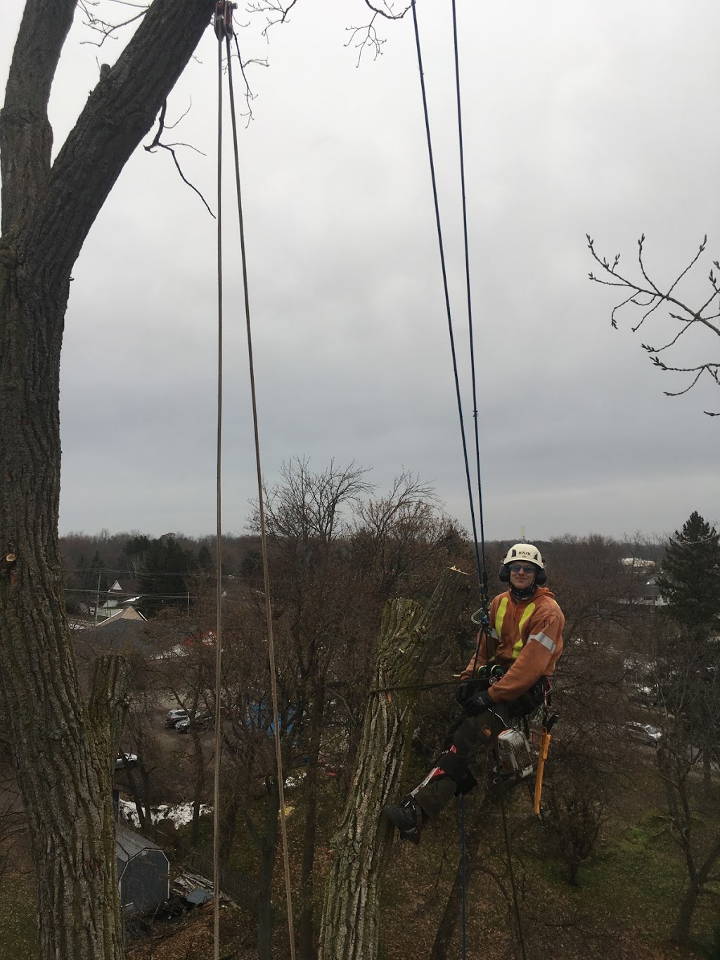 Shorthills Tree Service inc | 400 Chantler Rd, Welland, ON L3B 5N8, Canada | Phone: (905) 892-0261