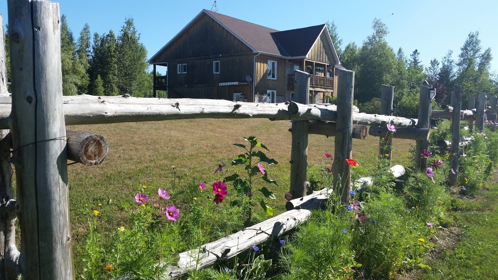 Gîte Touristique Ô Genêt | 2945 N Plantagenet Concession 3, Plantagenet, ON K0B 1L0, Canada | Phone: (613) 673-2039