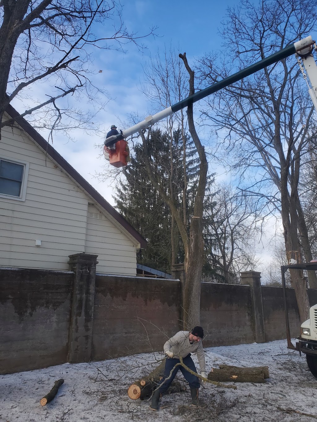 OBrien tree service | 260 Douro 3rd Line, Douro, ON K0L 2H0, Canada | Phone: (705) 741-9925