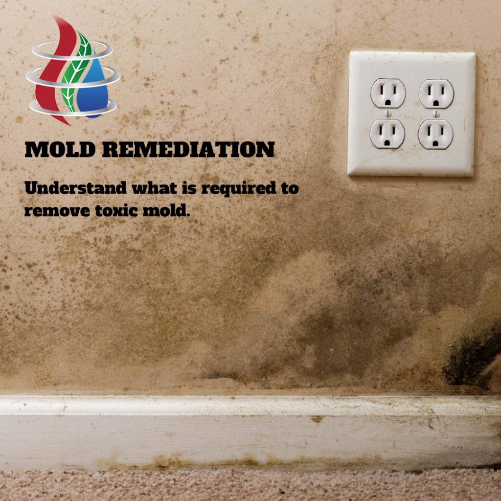 The Restoration Network | 243 Don Seaman Way, Okotoks, AB T1S 1B3, Canada | Phone: (587) 747-7711