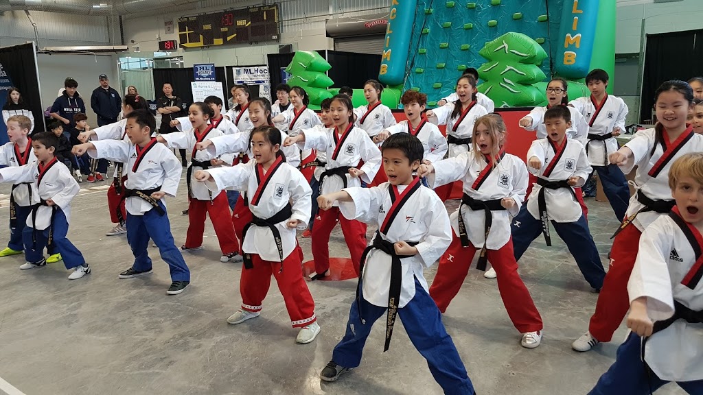 Aurora Taekwondo Martial Arts School | 126 Wellington St W, Aurora, ON L4G 2N9, Canada | Phone: (289) 840-3344