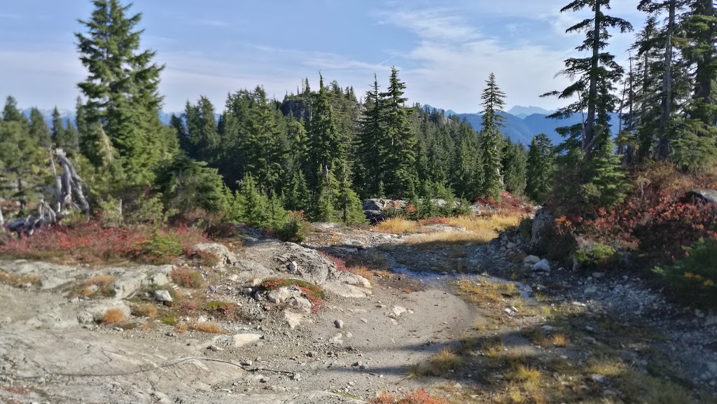 Mystery Peak | Canada, 1700 Mt Seymour Rd, North Vancouver, BC V7G 1L3, Canada