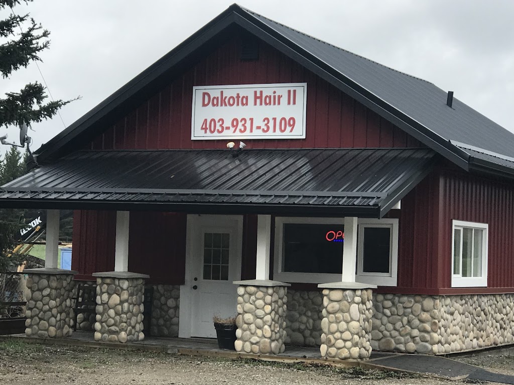 Dakota Hair II | Priddis Valley Rd W, Priddis, AB T0L 1W0, Canada | Phone: (403) 931-3109