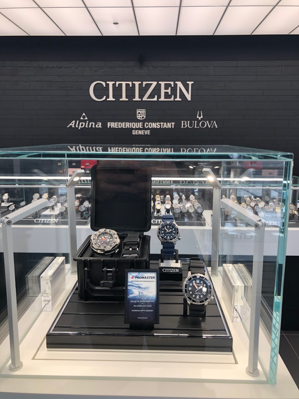 Citizen Watch Group | 13850 Steeles Ave W, Halton Hills, ON L7G 0J1, Canada | Phone: (647) 847-6880