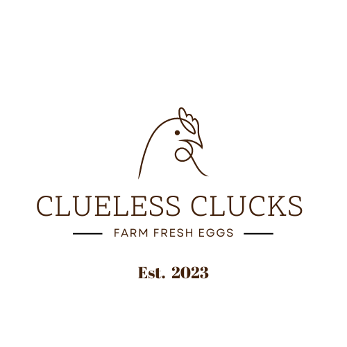 Clueless Clucks | 741 Cape Breton Rd, Saint-Philippe, NB E1H 1V7, Canada | Phone: (506) 866-0268