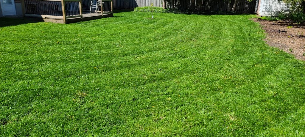 COBRAN LAWN CARE | 174 Beattie Ave, Alliston, ON L9R 1C1, Canada | Phone: (705) 796-6931