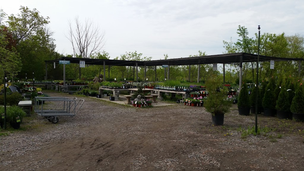 Bio Horticentre Méristème | 235 Chemin Eardley, Gatineau, QC J9J 2Y8, Canada | Phone: (819) 684-6969