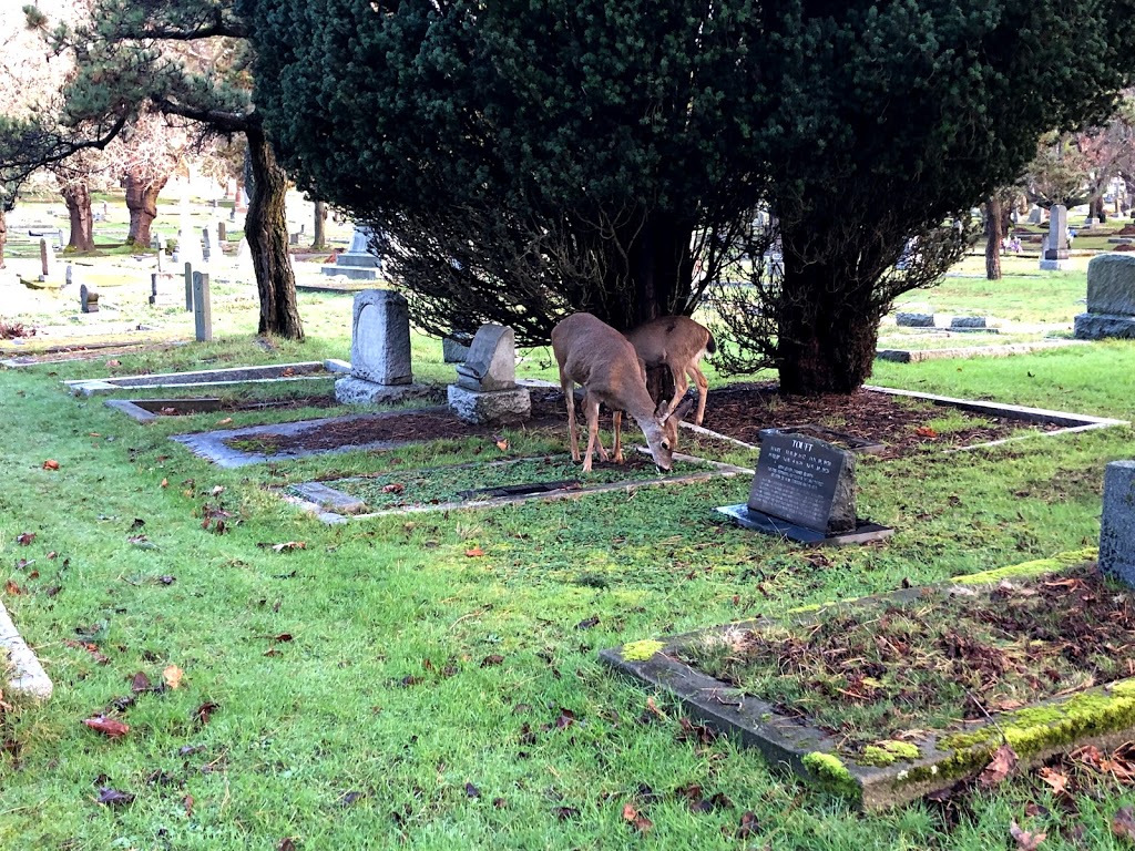 Ross Bay Cemetery | 1495 Fairfield Rd, Victoria, BC V8S, Canada | Phone: (250) 361-0600