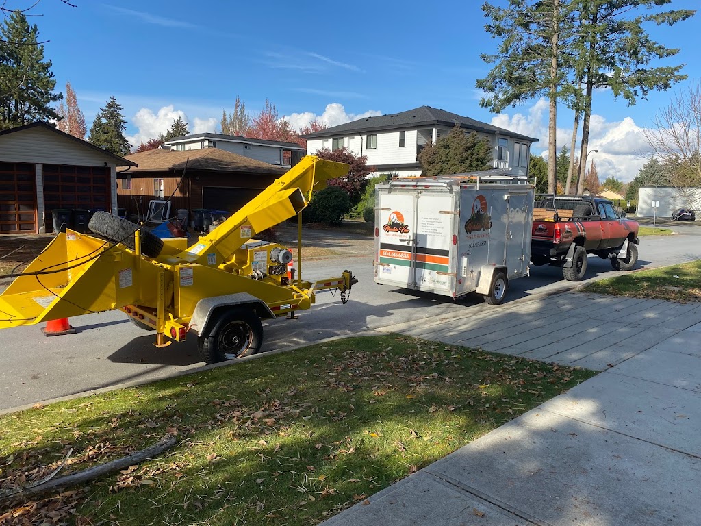 Mountain View Tree Service Inc. | 21092 Stonehouse Ave, Maple Ridge, BC V2X 8L9, Canada | Phone: (604) 615-6855