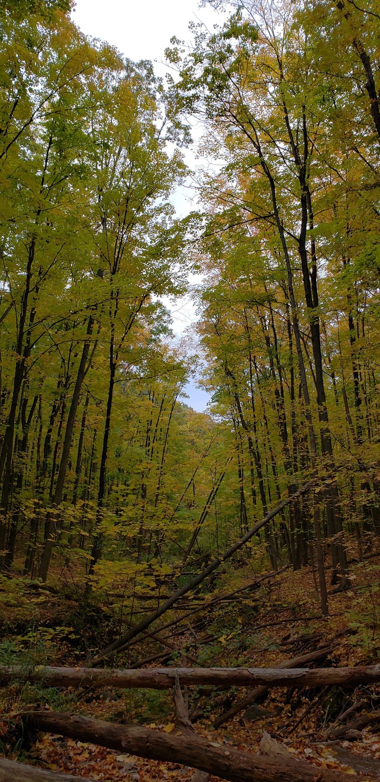 Sheppard Quarry | Flamborough, Hamilton, ON L9H 7K6, Canada