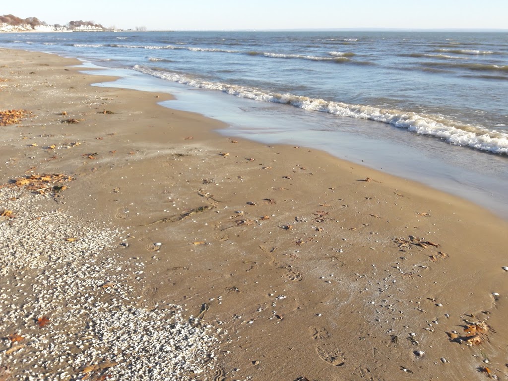 Point Abino Conservation Area | Fort Erie, ON L0S 1N0, Canada