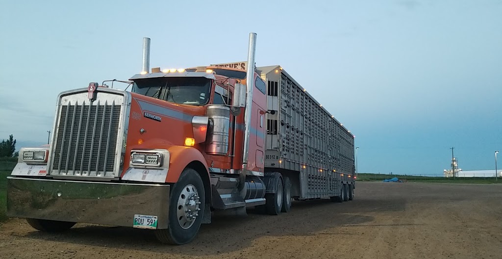Steves Livestock Transport | 214 Center Ave, Blumenort, MB R0A 0C0, Canada | Phone: (204) 326-6380