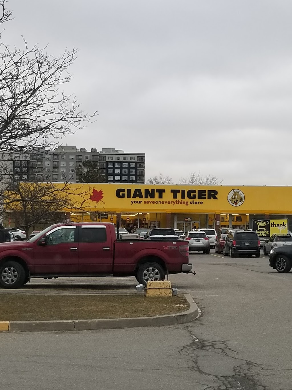 Giant Tiger | 130 Davis Dr, Newmarket, ON L3Y 2N1, Canada | Phone: (905) 830-6074