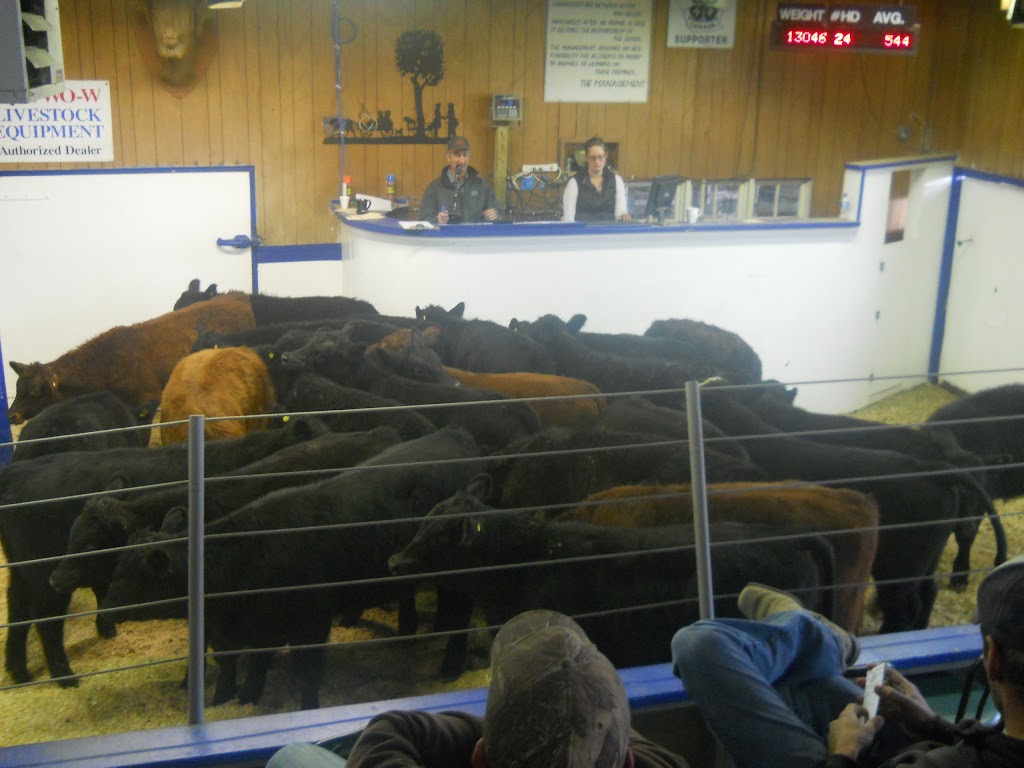 Picture Butte Auction Ltd | 110071 Hwy 25, Picture Butte, AB T0K 1V0, Canada | Phone: (403) 732-4400