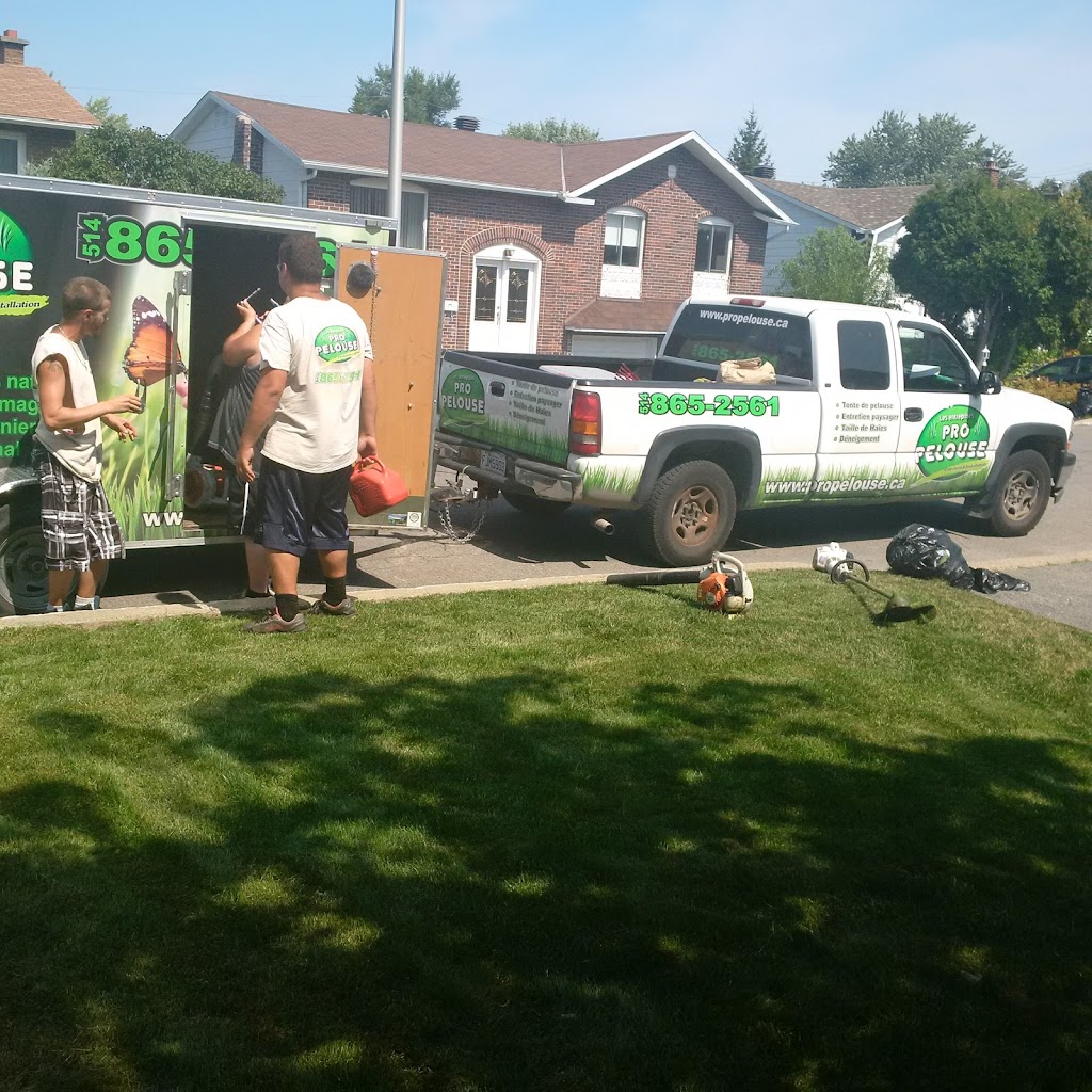 Pro-Lawn Companies | 7935 Av. Naples, Brossard, QC J4Y 1V8, Canada | Phone: (514) 865-2561