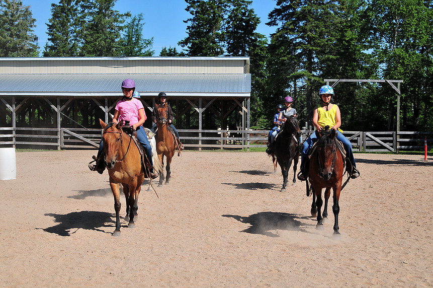 Snider Mountain Ranch | 461 Snider Mountain Rd, Snider Mountain, NB E5P 4B4, Canada | Phone: (506) 432-6362