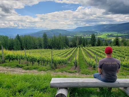 Larch Hills Winery | 110 Timms Rd, Salmon Arm, BC V1E 2P5, Canada | Phone: (250) 832-0155