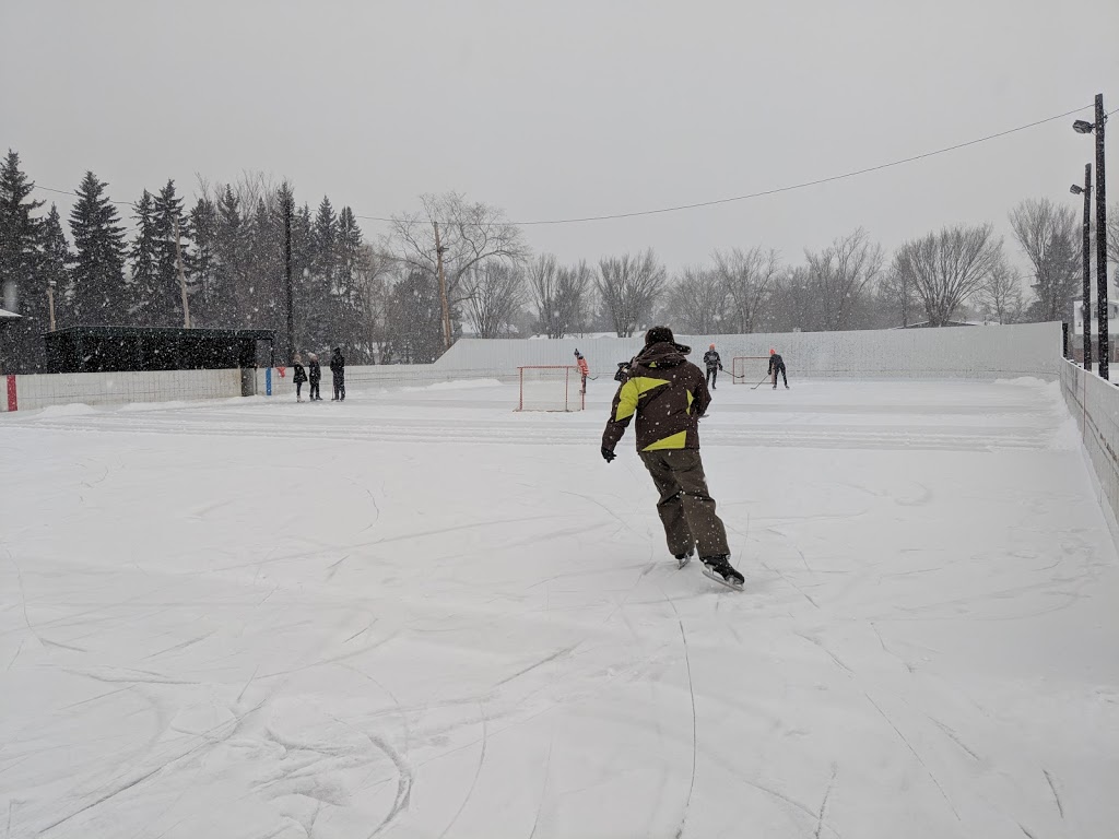 Salisbury Park Rink | 85 Salisbury Ave, St. Albert, AB T8N 0M7, Canada