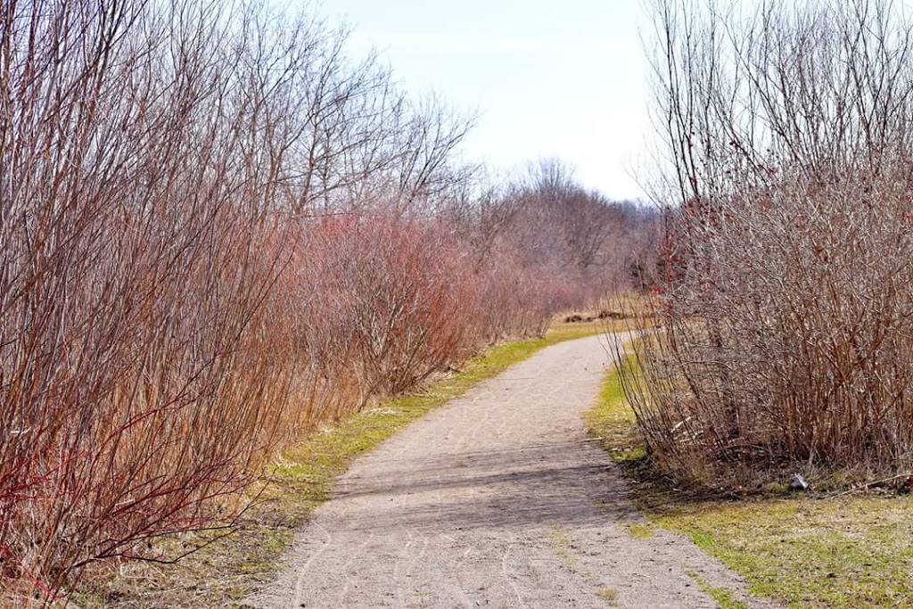 Lawson Trail | Lawson Trail, Ingersoll, ON N5C 2K8, Canada