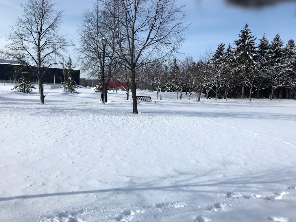 Parc Marcel-Laurin skatepark | 2345 Bd Thimens, Saint-Laurent, QC H4R 1T4, Canada | Phone: (514) 872-0311