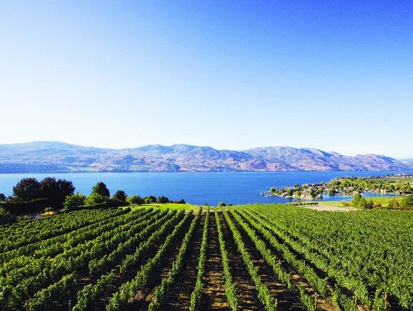 Vines & Views Wine Tours | 1314 Ponderosa Ct, West Kelowna, BC V1Z 2Z4, Canada | Phone: (778) 755-3007