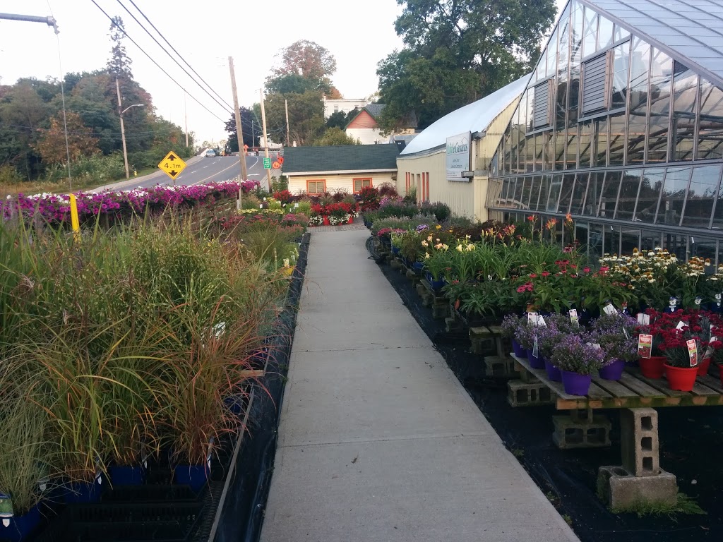 Little Gardens | 36 Bowes St, Parry Sound, ON P2A 2W9, Canada | Phone: (705) 746-5311