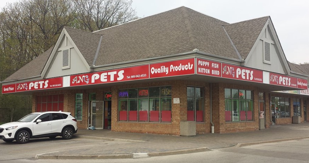 ANG Pets | 2555 Erin Centre Blvd, Mississauga, ON L5M 5H1, Canada | Phone: (905) 542-4533