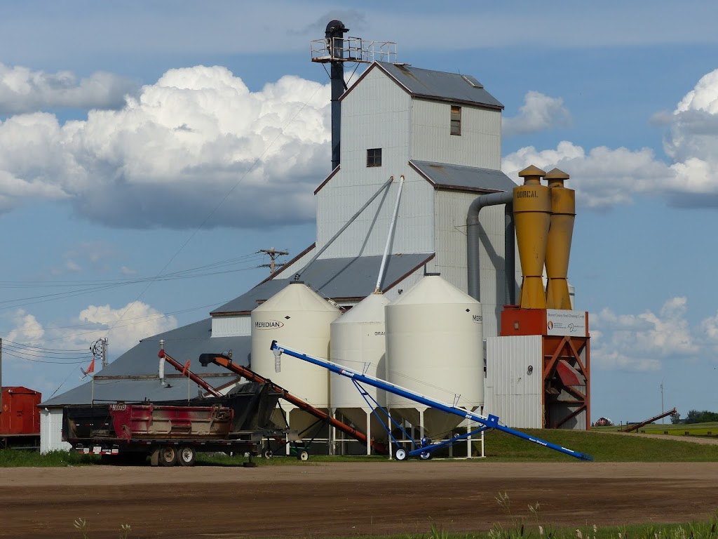 County of Beaver Seed Cleaning | 4904 46 Ave, Holden, AB T0B 2C0, Canada | Phone: (780) 688-3917