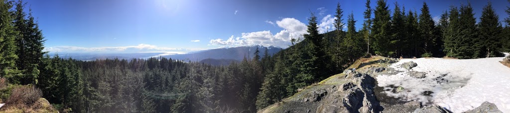 Polytrichum Viewpoint | Halvor Lunden Trail, Anmore, BC V3H 4Z2, Canada