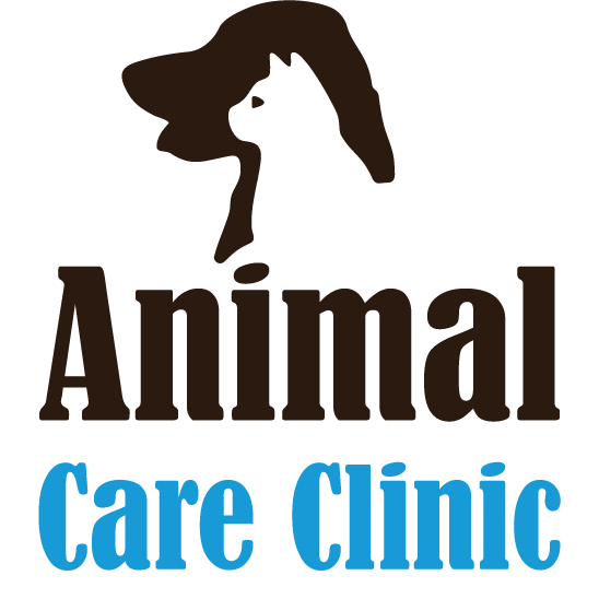 Animal Care Clinic | 1242 Queen St W, Brampton, ON L6X 0B2, Canada | Phone: (905) 451-2800