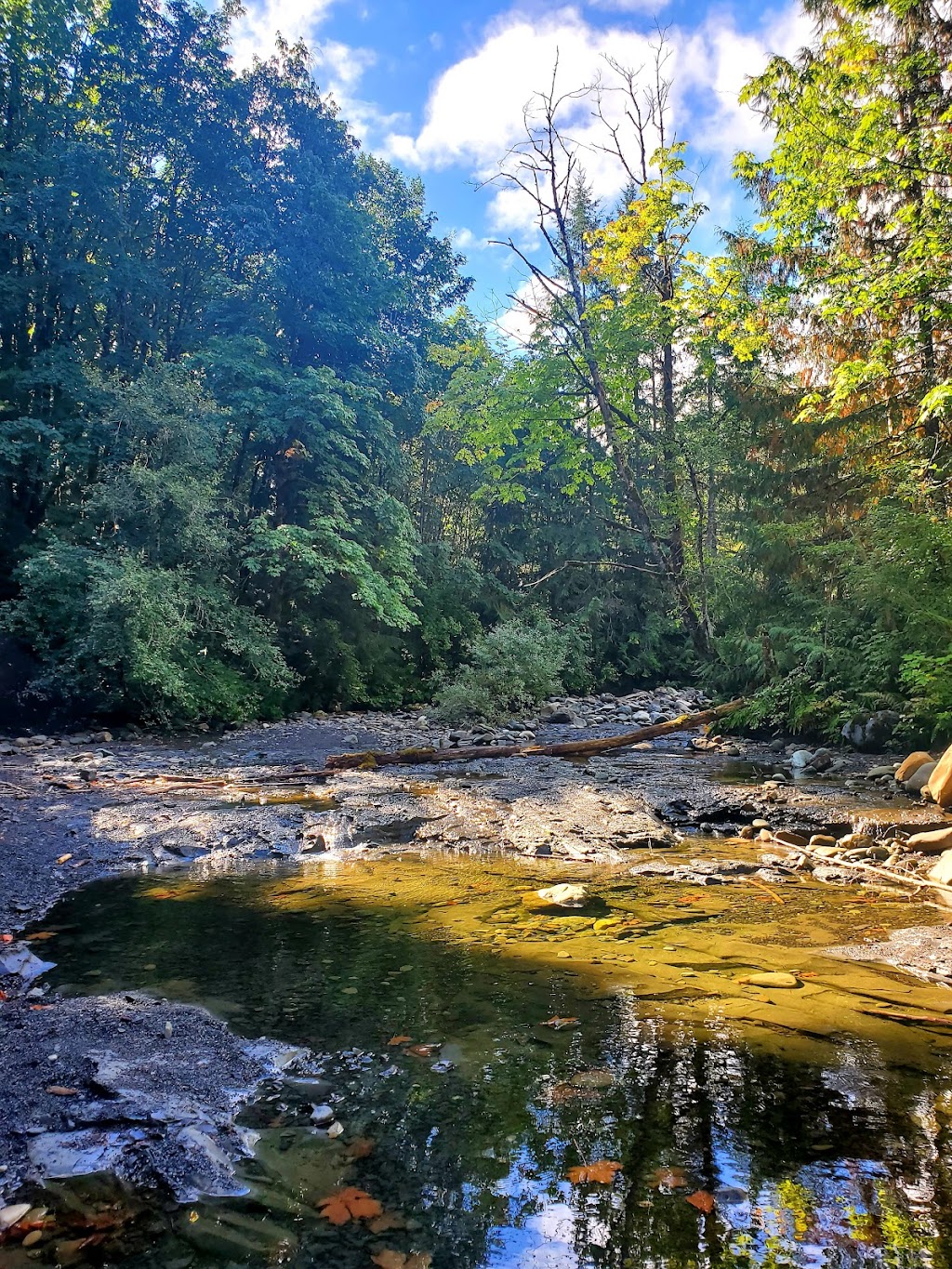 Saratoga Beach Access Park | Seaman Rd, Black Creek, BC V9J 1B1, Canada | Phone: (250) 334-6000