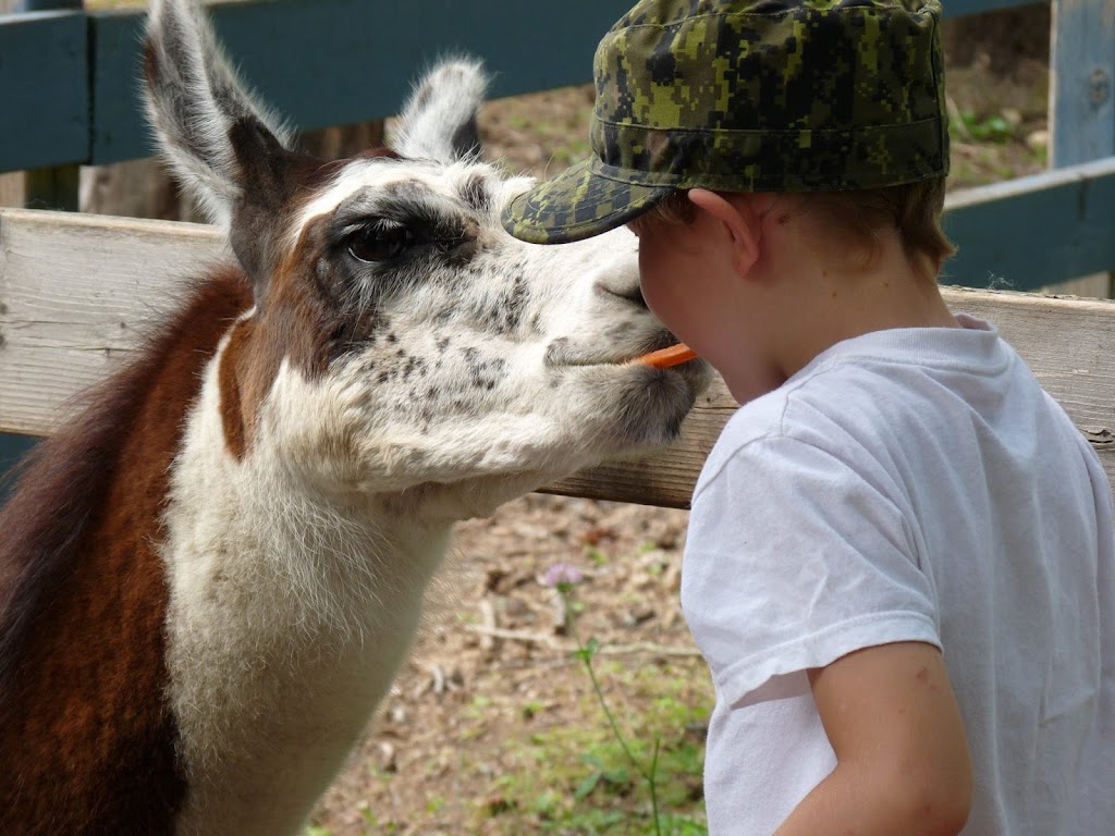 Land OLakes Rescue Petting Farm | 1200 Road 506, Cloyne, ON K0H 1K0, Canada | Phone: (613) 336-0330