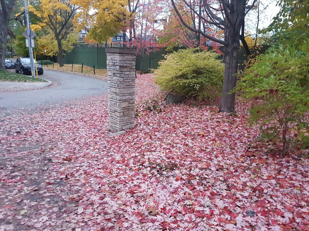 Pricefield Road Playground | 50 Pricefield Rd, Toronto, ON M4W, Canada