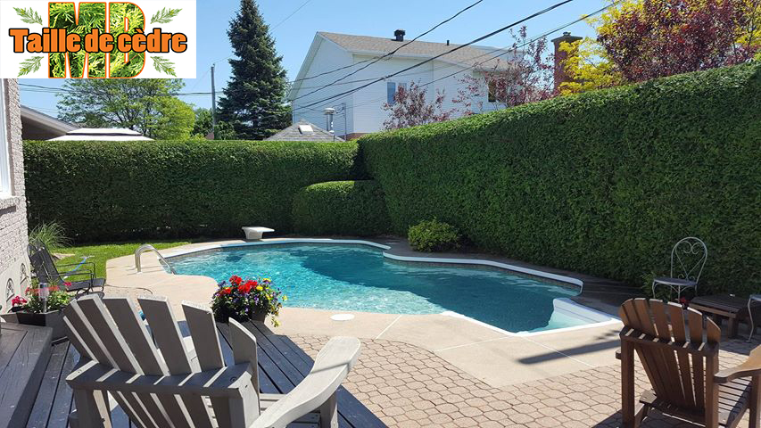 Taille de Cèdre MB | Longueuil Saint-Hubert Brossard Rive-Sud | 2004 Rue Papineau, Longueuil, QC J4K 3L6, Canada | Phone: (438) 522-2147