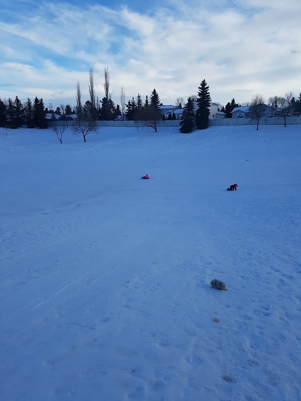 Parkwest Toboggan Bowl | 18725 95 Ave NW, Edmonton, AB T5T 1P7, Canada | Phone: (780) 442-5311