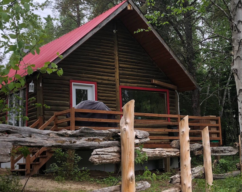 Ferme Dan Nature | 650 Rang St Michel, Péribonka, QC G0W 2G0, Canada | Phone: (418) 719-1343