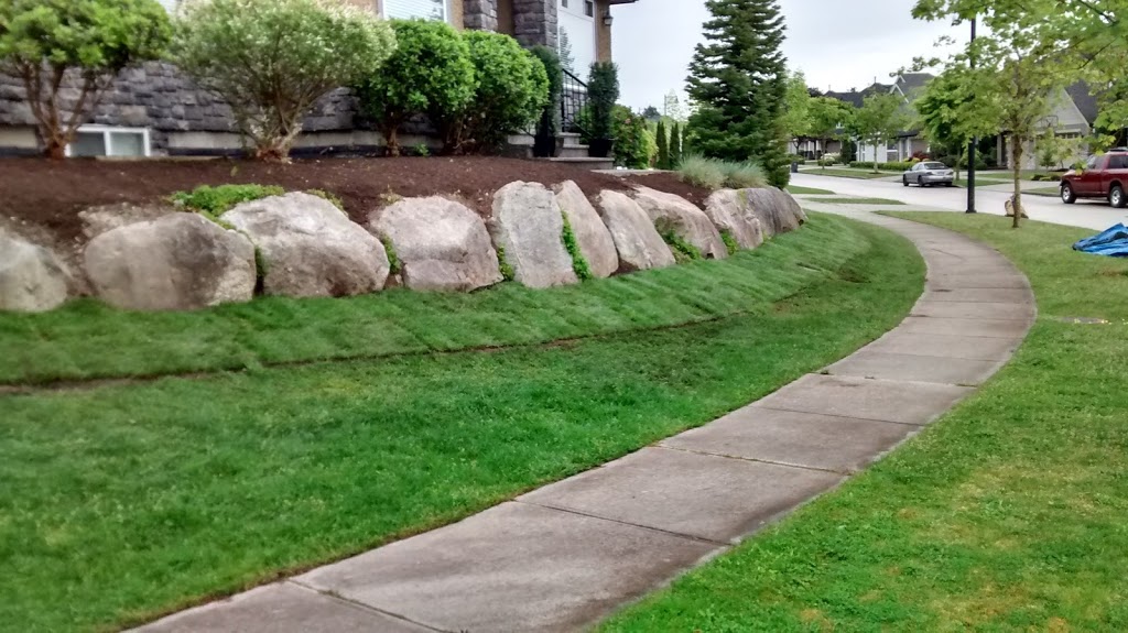 Turf Boys Lawn & Landscape | 21007 92 Ave, Langley City, BC V1M 2C4, Canada | Phone: (604) 309-8798