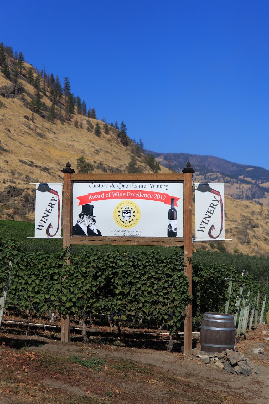 Castoro de Oro Estate Winery | 4004 BC-97, Oliver, BC V0H 1T1, Canada | Phone: (250) 495-4991