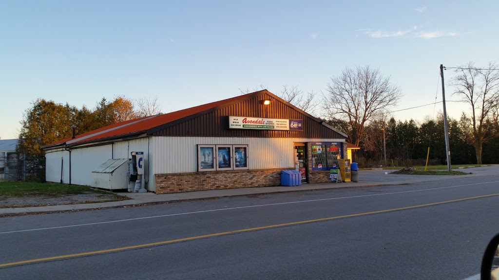 Avondale Food Stores | 172 Talbot St, Courtland, ON N0J 1E0, Canada | Phone: (519) 688-2088
