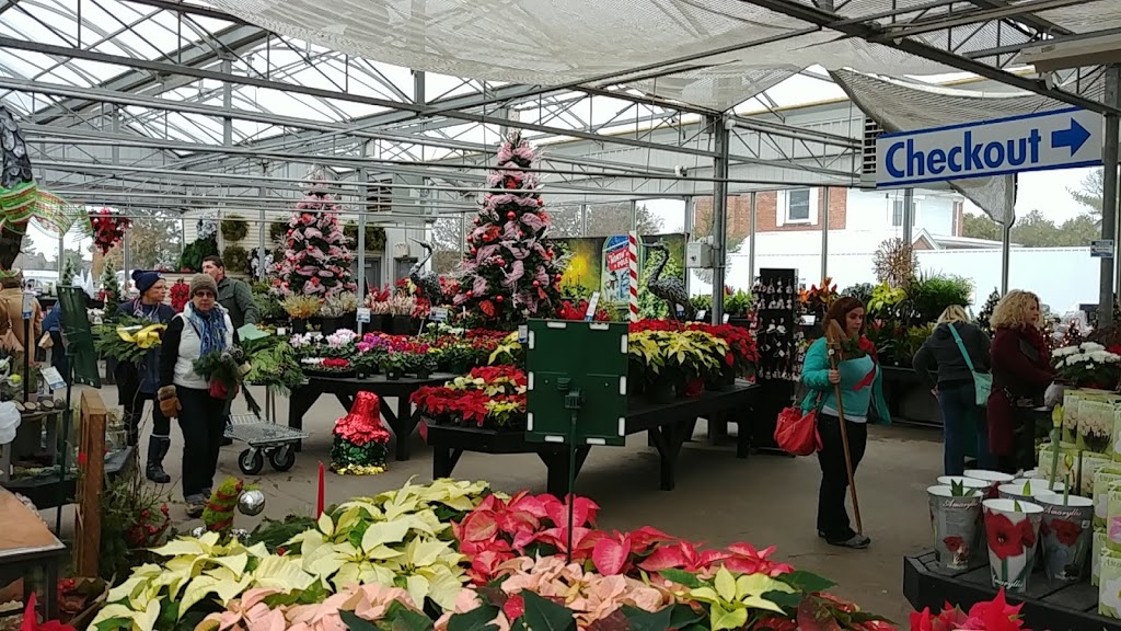 Canadale Nurseries | 269 Sunset Dr, St Thomas, ON N5R 3C4, Canada | Phone: (519) 631-7264