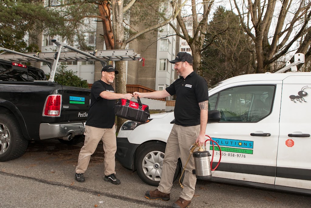 Solutions Pest Control | 2912 E 54th Ave, Vancouver, BC V5S 1Y5, Canada | Phone: (855) 858-9776
