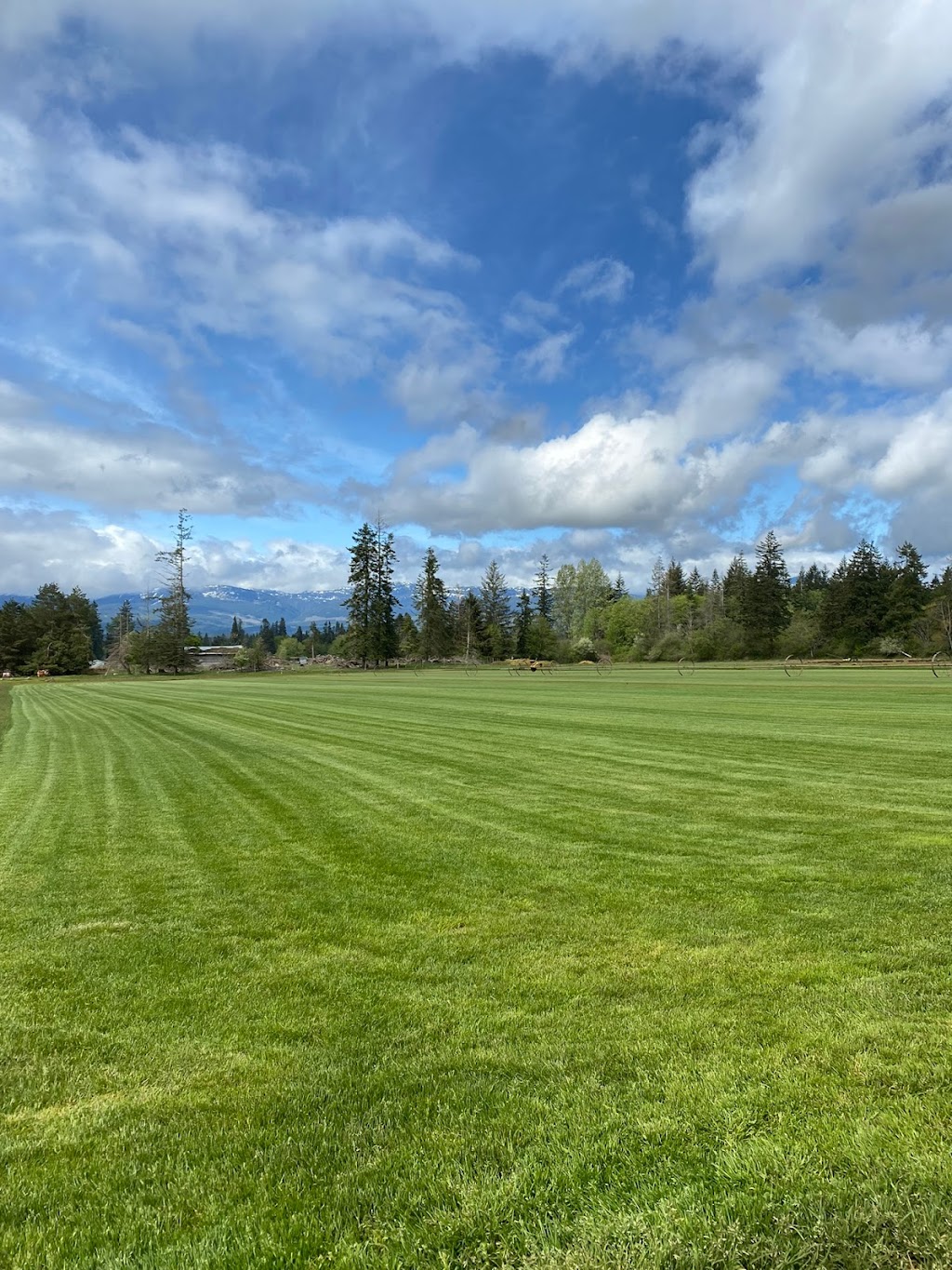 Ponderosa Sod Farm Ltd | 5201 N Island Hwy, Courtenay, BC V9J 1S7, Canada | Phone: (778) 585-5427