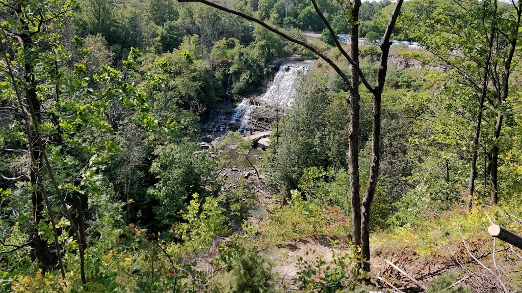 Upper Kings Forest Park | Albion Falls, Hamilton, ON L8K, Canada