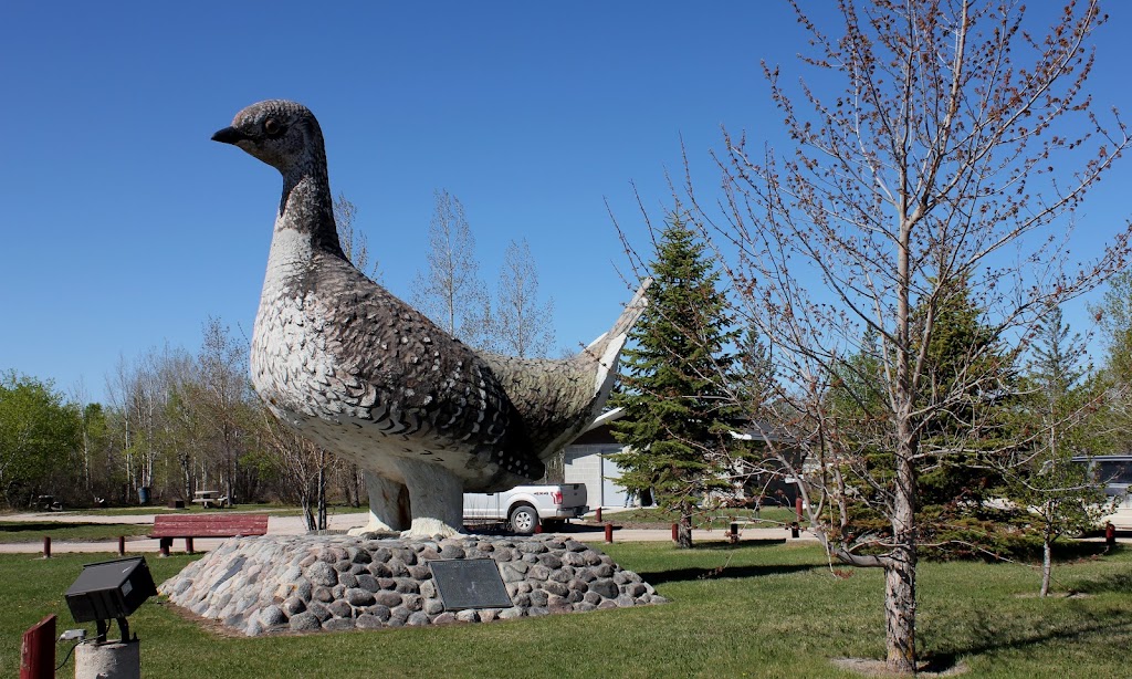 Ashern Sharptail Park | Ashern, MB R0C 0C5, Canada | Phone: (204) 927-7814